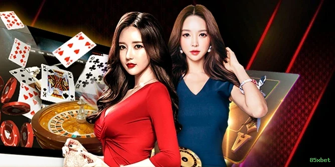 Cassino 85xbet app mobile